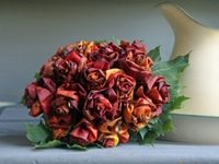 365slojd Autumn Leaves Roses